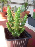 DSCN0480.JPG