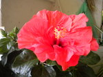DSCN6937.JPG