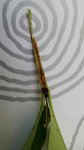 20160727_164254.jpg