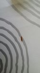 20160727_164328.jpg