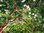 DSCN3290.JPG
