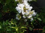 DSCN3312.JPG