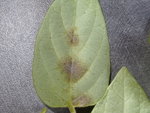 rsz_dsc02575.jpg
