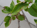 rsz_dsc02576.jpg