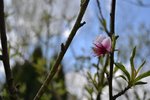 DSC_0002.JPG