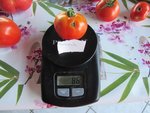 Marmande