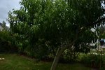 DSC_0018.JPG