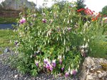 DSC09524.JPG