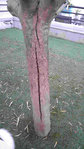 20160730_205506.jpg