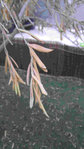 20160730_205448.jpg