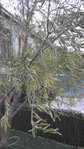 20160730_205435.jpg