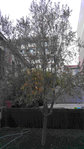 20160730_205422.jpg