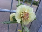 20160728_184023.jpg