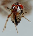 01.08.2016Lumix.jpg_6a.jpg