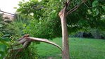 20160729_210444 (2).jpg