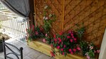 20160801_143206_HDR.jpg