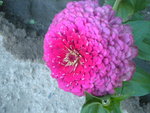 DSCN7150.JPG