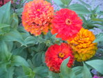 DSCN7152.JPG