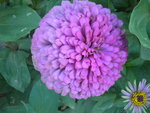 DSCN7153.JPG