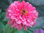DSCN7154.JPG