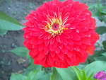 DSCN7157.JPG