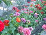 DSCN7159.JPG