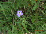 DSCN3344.JPG