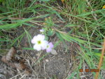 DSCN3345.JPG