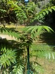 IMG_20160803_114629.jpg