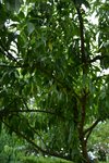 DSC_0006.JPG