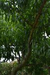 DSC_0010.JPG