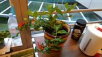 Resized_20160804_083959.jpg