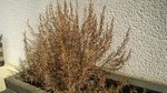 WP_20160805_001.jpg