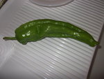 Piment vert.jpg