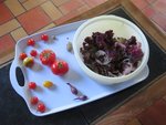 2016-08-06 1ères tomates xx.jpg
