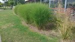 Attach929_20160806_115247.jpg