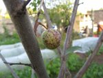 IMG_0256.jpg