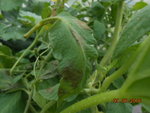 DSCN3357.JPG