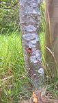 WP_20160809_11_31_54_Pro.jpg