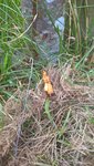 WP_20160809_11_31_43_Pro.jpg