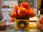 DSCN7168.JPG