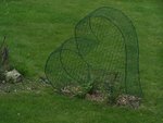 103_9651.JPG