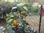 IMG_20160809_124654.jpg
