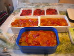 DSCN7186.JPG