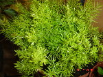 DSC04936.JPG
