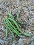 20160816_204851.jpeg