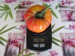 Voici la dernière Amana orange que j'ai récolter.