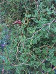 IMG_20160817_205624.jpg