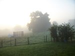 brume aout.jpg