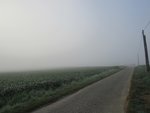 IMG_1947.JPG